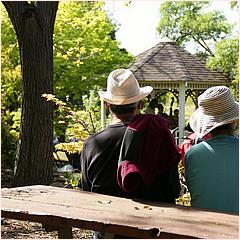 Saratoga Blossom Festival 2016-099a-web.jpg