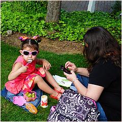 Saratoga Blossom Festival 2016-101b1-web.jpg