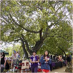 SaratogaBlossomFestival2017-68.jpg