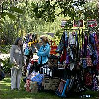 SaratogaBlossomFestival2019-032a2.jpg