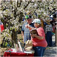 SaratogaBlossomFestival2019-038b1.jpg