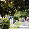 SpiritofJapantown09-195c.jpg