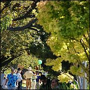 SpiritofJapantown10-228b.jpg