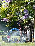 July4th07_SantaClara-67b.jpg