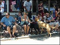 July4thParade_MorganHill09-51b.jpg