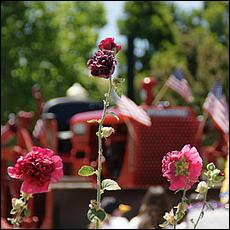 July4thParade_MorganHill14-34c1-web.jpg