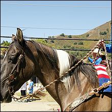 July4thParade_MorganHill21-082a.jpg