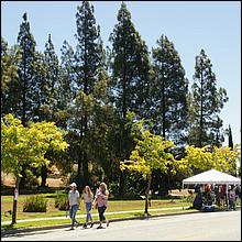 July4thParade_MorganHill21-190.jpg