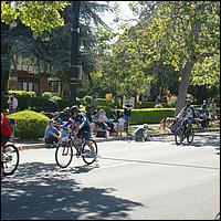 Rose,White,BlueParade2023-010.jpg