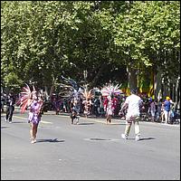 Rose,White,BlueParade2023-083a.jpg