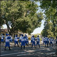 Rose,White,BlueParade2023-107a.jpg