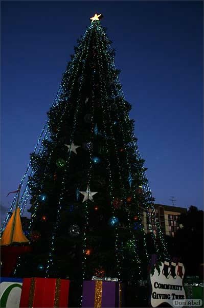 Christmas_inthe_Park08-117c.jpg - for personal use