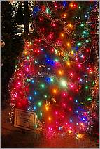 Christmas_inthe_Park08-392b1.jpg