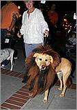 Howling_Halloween08-058e.jpg