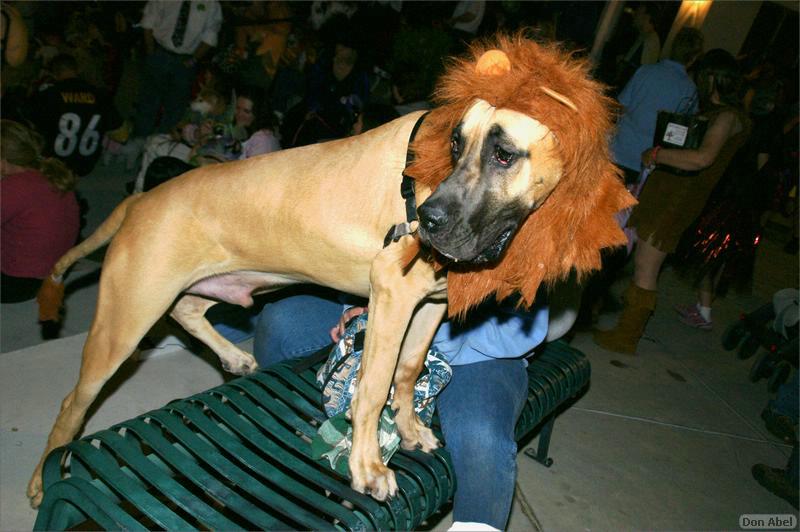 Howling_Halloween08-110d.jpg - for personal use