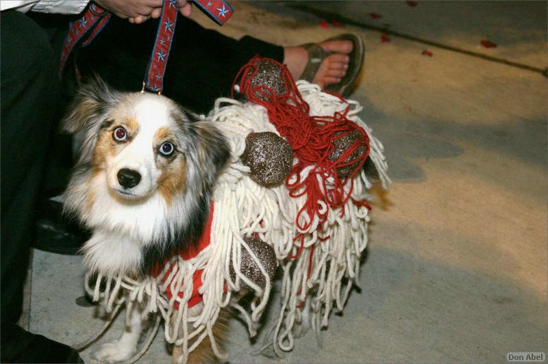 Howling_Halloween08-156d.jpg - for personal use