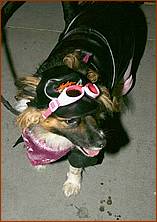 Howling_Halloween08-029e.jpg