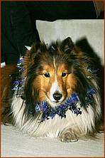 Howling_Halloween08-095d.jpg