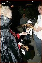 Howling_Halloween08-108d.jpg