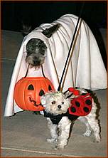 Howling_Halloween08-121e.jpg