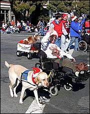 LosGatos_Christmas_Parade05-012c.jpg