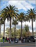 LosGatosChristmasParade07-266c.jpg