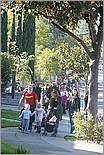 LosGatosChristmasParade08-410c.jpg