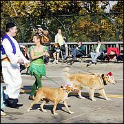 LosGatosChristmasParade09-090ab.jpg