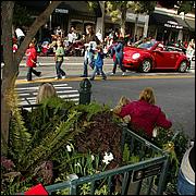 LosGatosChristmasParade09-175b.jpg