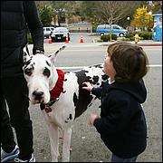 LosGatosChristmasParade09-596b.jpg