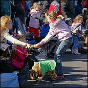 LosGatosChristmasParade13-100.jpg