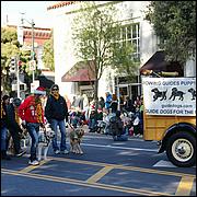 LosGatosChristmasParade13-127.jpg