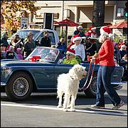 LosGatosChristmasParade13-163.jpg