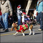 LosGatosChristmasParade13-311.jpg