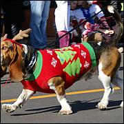 LosGatosChristmasParade13-311c1.jpg