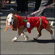 LosGatosChristmasParade13-317a.jpg