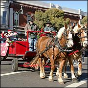 LosGatosChristmasParade13-534a.jpg