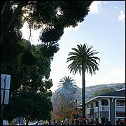 LosGatosChristmasParade13-562b1.jpg