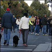 LosGatosChristmasParade13-566.jpg