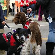 LosGatosChristmasParade15-106-web.jpg