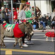 LosGatosChristmasParade15-278-web.jpg