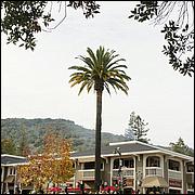 LosGatosChristmasParade15-310a-web.jpg