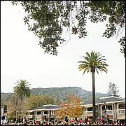 LosGatosChristmasParade15-311a-web.jpg