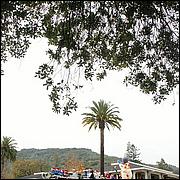 LosGatosChristmasParade15-334a-web.jpg