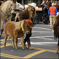 LosGatosChristmasParade15-460a-web.jpg