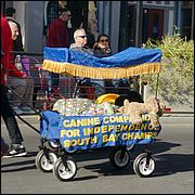 LosGatosChristmasParade25-195Sc1.jpg