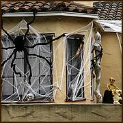 WG_TrickorTreat12-002a-web.jpg