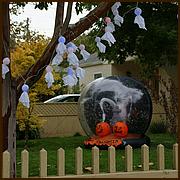 WG_TrickorTreat12-108-web.jpg