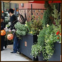 WG_TrickorTreat12-091-web.jpg