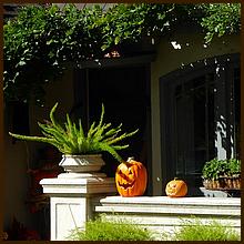 WG_TrickorTreat16-161a.jpg